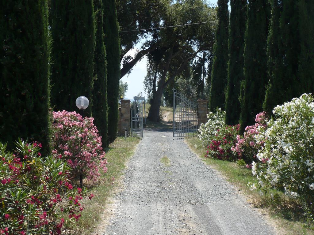 Villa La Sassetta Bibbona Exterior foto